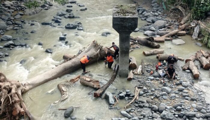 BPBD Kota Padang Lanjutkan Pembersihan Pohon Tumbang di Sungai Batang Aro