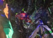 Pohon Tumbang Tutup Jalan Padang-Painan, BPBD Kota Padang Pastikan Arus Lalin Kembali Normal 15 378bf580 39d3 4191 8e86 9124b68298f5