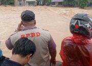 Hujan Deras Landa Kota Padang, BPBD Catat 15 Titik Banjir 11 IMG 20260803 WA0002
