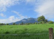 KKN Unand Dorong Pengembangan Potensi Wisata Nagari Mungo 11 IMG 20260815 WA0005
