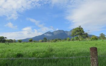 KKN Unand Dorong Pengembangan Potensi Wisata Nagari Mungo 3 IMG 20260815 WA0005