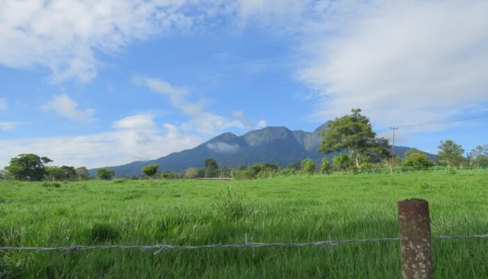 KKN Unand Dorong Pengembangan Potensi Wisata Nagari Mungo