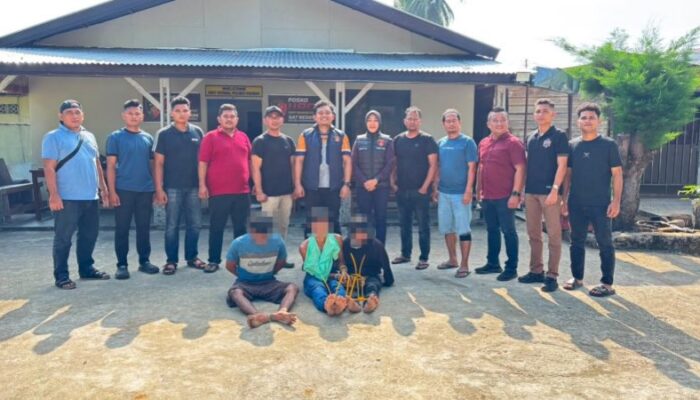 4 Pria Diamankan Polisi dalam Kasus Dugaan Kekerasan Seksual Bersama di Pasaman Barat