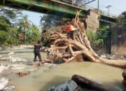Pohon Tumbang Sumbat Sungai Batang Aro, BPBD Padang Lakukan Evakuasi 14 IMG 20260823 WA0003