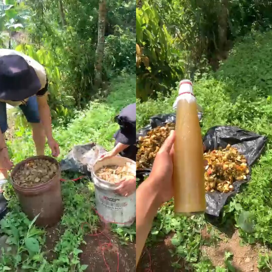 IMG 20260824 WA0003