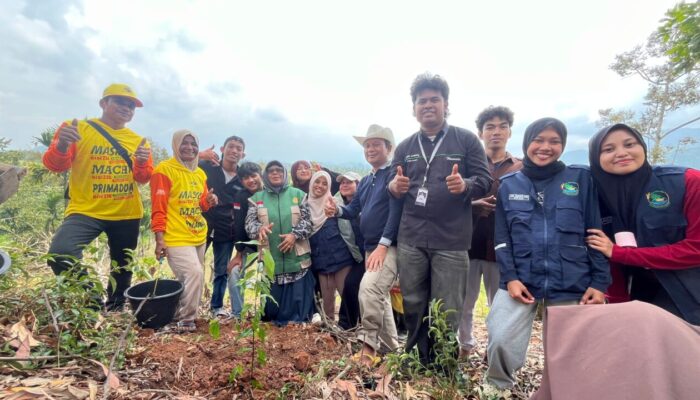 500 Bibit Tanaman Disalurkan Mahasiswa KKN Unand untuk Hijaukan Nagari Mungo
