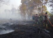 BNPB Catat Karhutla di Tiga Daerah dan Kekeringan Ancam Ribuan Warga di Papua Pegunungan 16 IMG 20260828 WA0001 1