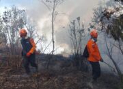 Karhutla Masih Mendominasi Bencana, BNPB Laporkan Kebakaran hingga 13 Hektare 15 IMG 20260829 WA0005