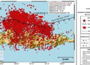 Gempa Susulan Flores Capai 9.488 Kali, Magnitudo Terbesar 6,2 14 IMG 20260829 WA0007