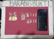 Diduga Jadi Pengedar Sabu, Petani di Sijunjung Diringkus Polisi 14 IMG 4763