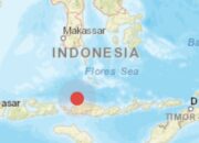 Gempa Magnitudo 5,2 Guncang Labuan Bajo Kamis Sore, Terasa hingga Kabupaten Manggarai 16 fbfe439e 0d4e 4e7e 8f6c 4e0d72bb263f