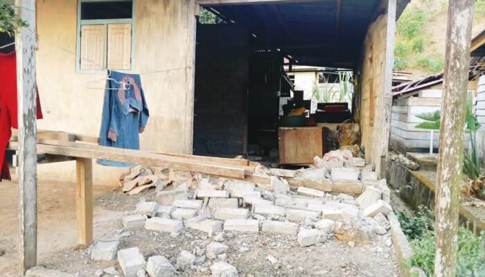 Gempa M5,5 Guncang Halmahera Tengah, 15 Rumah dan Fasilitas Kesehatan Rusak