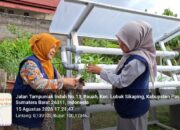 Mahasiswa KKN Reguler II Universitas Andalas Tingkatkan Pengetahuan Masyarakat melalui Sosialisasi Budidaya Kangkung Hidroponik di Nagari Pauah