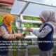 Mahasiswa KKN Reguler II Universitas Andalas Tingkatkan Pengetahuan Masyarakat melalui Sosialisasi Budidaya Kangkung Hidroponik di Nagari Pauah