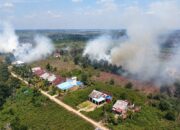 Karhutla 2026 Lepaskan Emisi Besar, WALHI Soroti Ancaman Target FOLU Net Sink 2030 16 Karhutla 2026 Lepaskan Emisi Besar