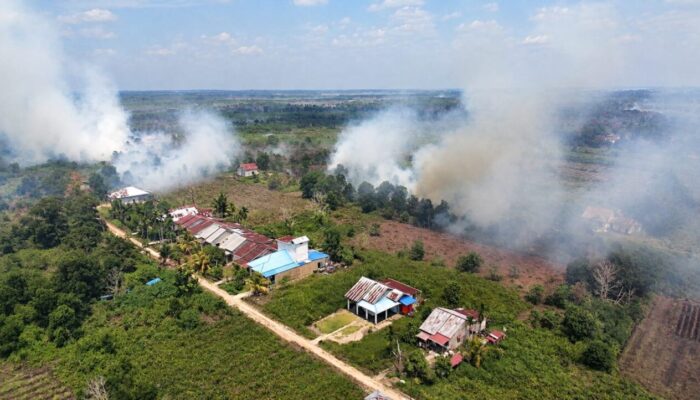 Karhutla 2026 Lepaskan Emisi Besar, WALHI Soroti Ancaman Target FOLU Net Sink 2030