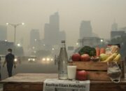 Wajib Tahu! 5 Jenis Makanan yang Baik Dikonsumsi saat Kabut Asap untuk Jaga Kesehatan Paru-Paru 15 IMG 20260910 WA0012