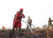 3.039 Titik Panas Terdeteksi di Sumsel, BNPB Kerahkan 12.285 Personel Tangani Karhutla 12 IMG 20260918 WA0005