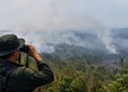3.227 Hotspot Muncul di Sumatera, Sumbar Terdeteksi 449 Titik hingga 18 September 11 3.227 Hotspot Muncul di Sumatera