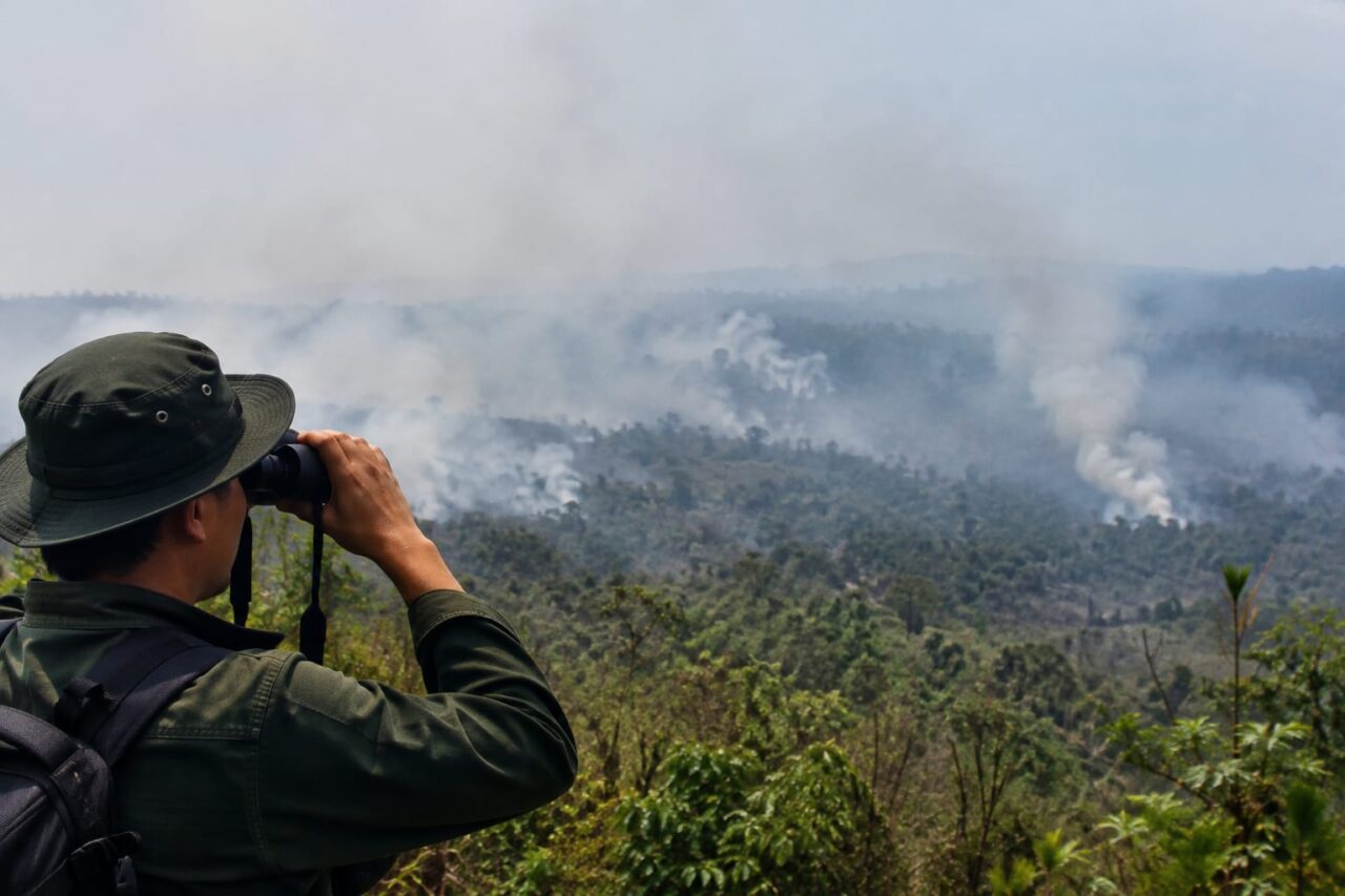 3.227 Hotspot Muncul di Sumatera