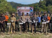 2.350 Mangrove Ditanam di Pesisir Selatan, Kodal II Dorong Mitigasi Abrasi