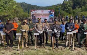 2.350 Mangrove Ditanam di Pesisir Selatan, Kodal II Dorong Mitigasi Abrasi 7 IMG 20260921 WA0000