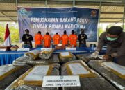BNNP Sumbar Musnahkan 73,3 Kilogram Ganja dari Dua Kasus Peredaran Narkotika 10 IMG 20260924 WA0002