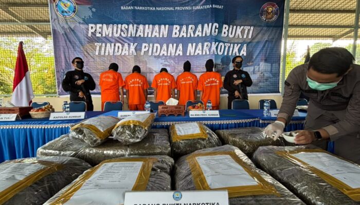 BNNP Sumbar Musnahkan 73,3 Kilogram Ganja dari Dua Kasus Peredaran Narkotika