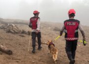 K9 Polsatwa Polda Sumbar Sisir Lokasi Air Bah, Telusuri Jalur Aliran Material 16 IMG 20260924 WA0007