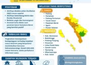 BMKG Ingatkan Potensi Cuaca Ekstrem di Sumbar hingga 1 Oktober, 7 Daerah Level Siaga 10 IMG 20260929 WA0001 1
