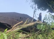 Hujan dan Angin Kencang Picu Dua Pohon Tumbang di Padang, Rumah Warga Rusak 13 IMG 5565