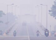 3 Cara Mudah Cek Kualitas Udara Terkini, Bisa Lewat HP 11 asap6 1
