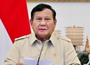 Prabowo Perketat Larangan Bakar Lahan, Terbitkan Inpres No.11/2026, Pelanggar Terancam Sanksi Hukum 15 Prabowo Perketat Larangan Bakar Lahan, Pelanggar Terancam Sanksi Hukum