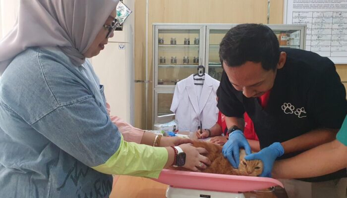 Peringati Hari Karantina ke-149, Karantina Sumbar Vaksinasi 235 Hewan