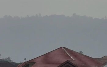Kabut Asap Selimuti Sejumlah Wilayah Padang, BPBD Imbau Warga Waspada 7 IMG 20261007 WA0001