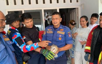 Burung Hantu Masuk Plafon Rumah Warga di Lubuk Begalung, Damkar Padang Turun Evakuasi 4 IMG 20261007 WA0004